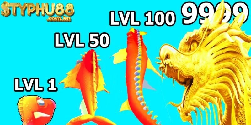 Hướng dẫn chơi Cá chép hóa rồng tại Typhu88