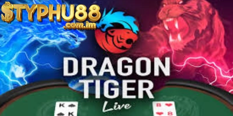 Các Chiến Lược Và Kinh Nghiệm Chơi Dragon Tiger Typhu88