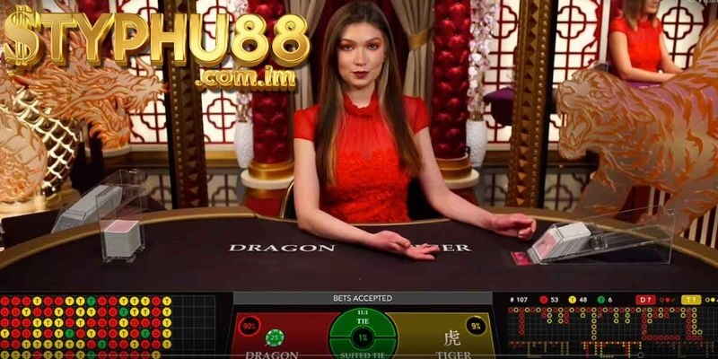 Những Lưu Ý Khi Chơi Dragon Tiger Typhu88