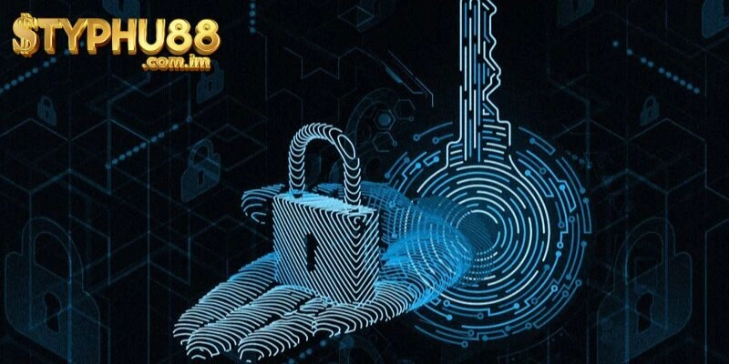 Lợi Ích Khi Tuân Thủ Chính Sách Quyền Riêng Tư Tại Typhu88