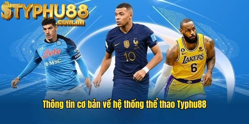 Tổng Quan Về Thể Thao Typhu88
