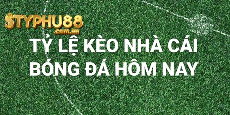 Các Loại Tỷ lệ kèo Typhu88