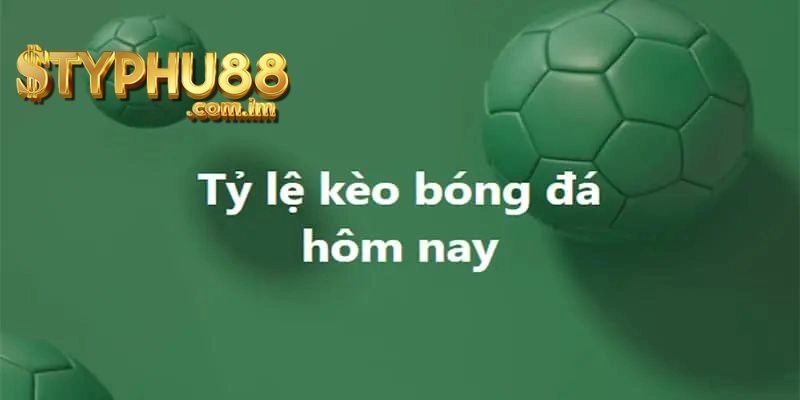 Tỷ Lệ Kèo Typhu88 Là Gì?
