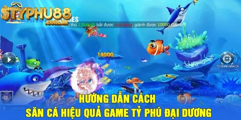 Các chương trình khuyến mãi và ưu đãi tại Typhu88